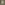 Load image into Gallery viewer, Army Under Armour Freedom By Land Skull T-Shirt (OD Green)