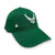 Air Force Wings Shamrock Hat