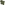 Load image into Gallery viewer, Under Armour Freedom Snake Flag T-Shirt (OD Green)