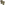 Load image into Gallery viewer, Under Armour Freedom By 1775 Skull T-Shirt (Tan)