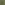 Load image into Gallery viewer, Under Armour Freedom Flag Long Sleeve T-Shirt (OD Green)