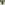 Load image into Gallery viewer, Army Son Youth Hood (Black)