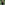 Load image into Gallery viewer, Army Star Youth Hood