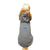 Air Force Wings Dog Hoodie