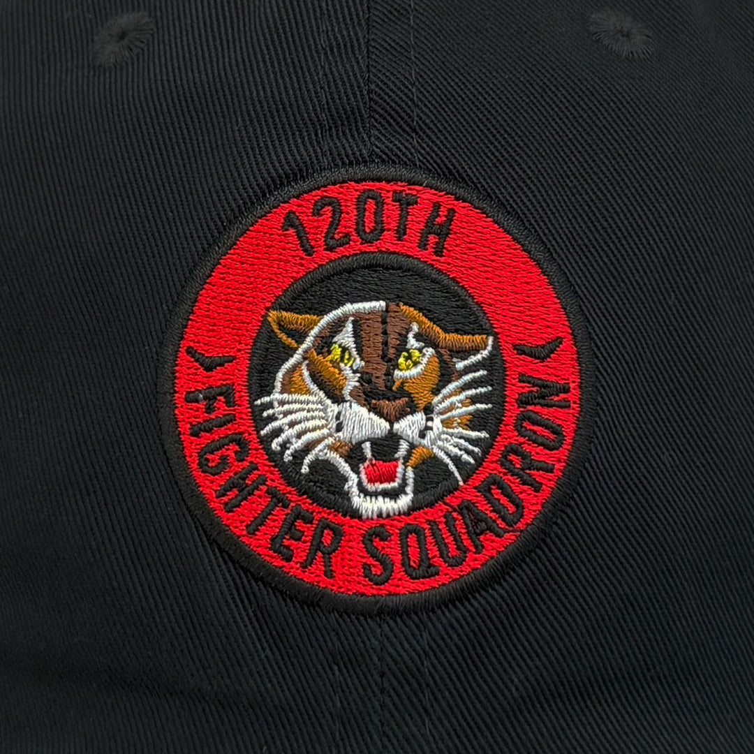 Air Force Nike Rivalry 120th Fighter Squadron Club Hat (Black)