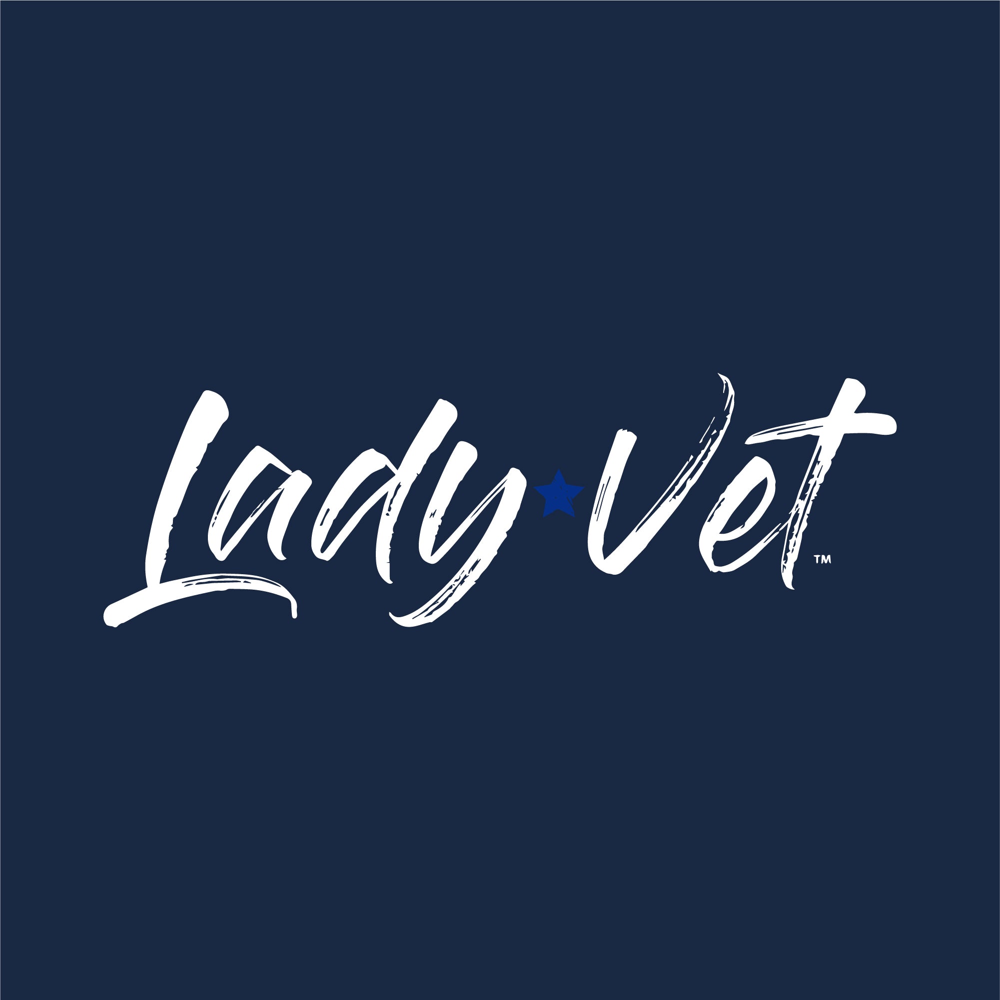 Air Force Lady Vet Full Chest Logo Ladies T-Shirt