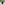 Load image into Gallery viewer, Air Force Aim High Chest Print Youth Hood