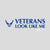 Air Force Vet Looks Like Me Ladies T-Shirt