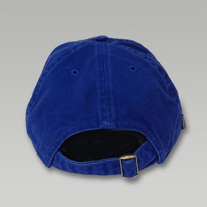 WOMENS AIR FORCE WINGS HAT (ROYAL) 1
