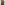 Load image into Gallery viewer, Army Men of Honor 1000pc Puzzle