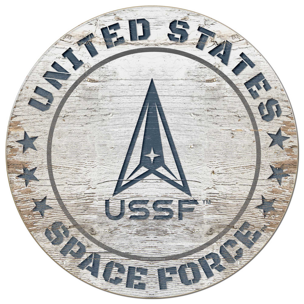 United States Space Force Painted Circle (20x20)