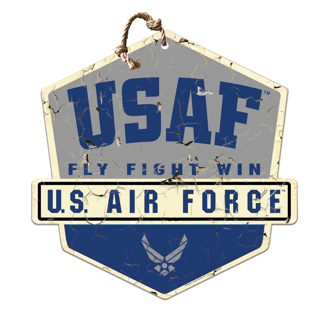 United States Air Force Fly Fight Win Badge*