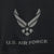Air Force PT Shorts