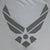 Air Force PT T-Shirt (Grey)