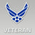 Air Force Veteran Decal