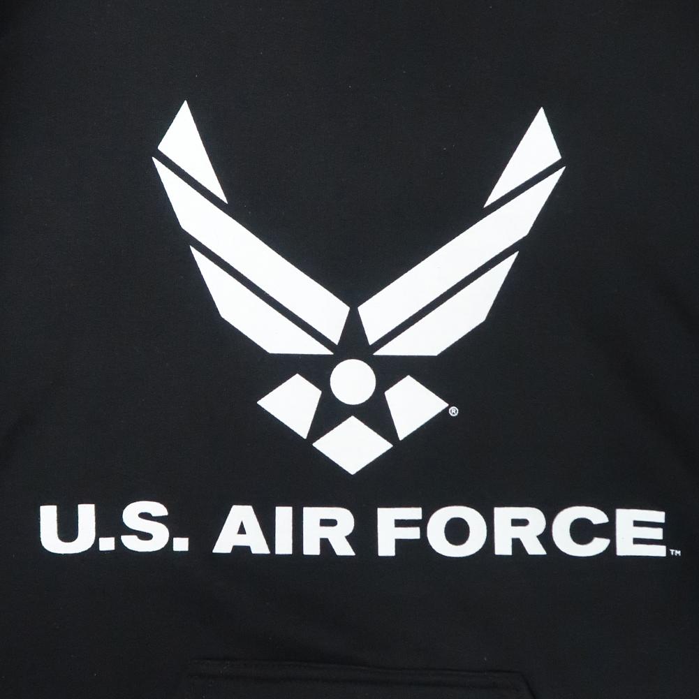 AIR FORCE WINGS LOGO HOOD (BLACK) 1