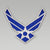 Air Force Wings Logo Patch