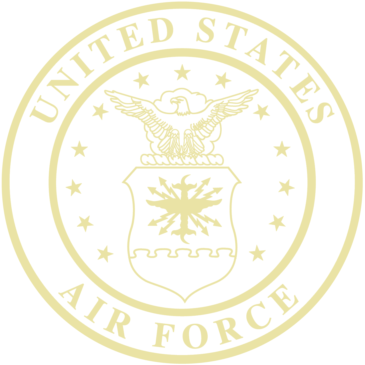 U.S. Air Force Gold Embossed Certificate Frame (Vertical)* – Air