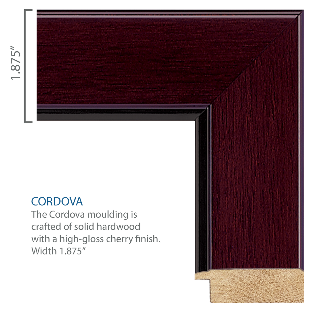 U.S. Air Force Century Gold Engraved Certificate Frame (Horizontal)*