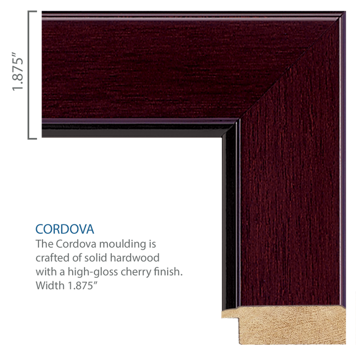 U.S. Air Force Century Gold Engraved Certificate Frame (Horizontal)*