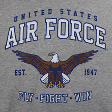 Load image into Gallery viewer, UNITED STATES AIR FORCE FLY FIGHT WIN HOOD (GREY)